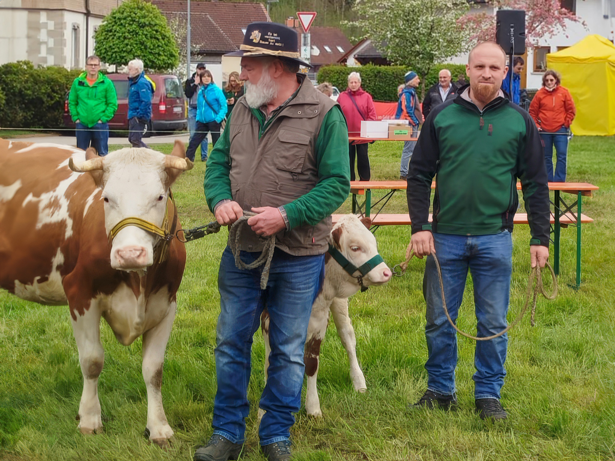 Familie Nittel mit Weinkönigin Saskia und Hinterwälder Rindern